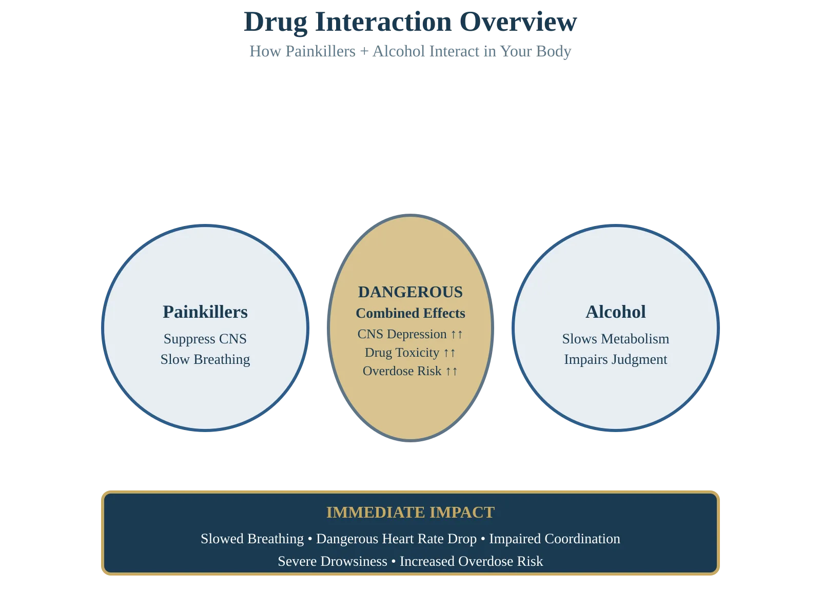 Infographic showing how painkillers and alcohol interact in the body, causing CNS depression, slowed breathing, impaired judgment, and increased overdose risk